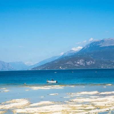 爱游戏全站APP入口苹果版app下载